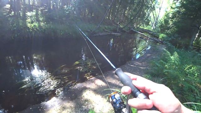 Успешные Уловы