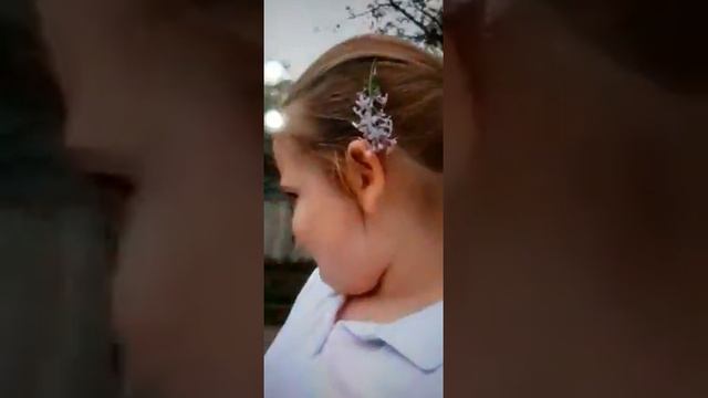 очень красивая весна Я даже уже увидела что возле школы растёт сирень🌺🌺🌺🌺🌺🌺 смотреть онлайн
