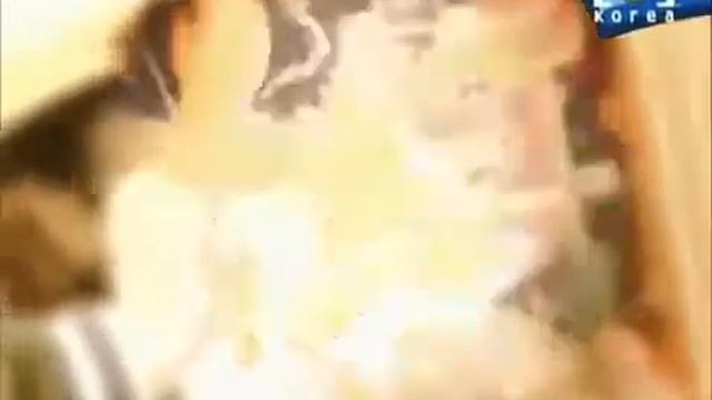 Young Turks Club  (영턱스클럽) - Affection  (정)