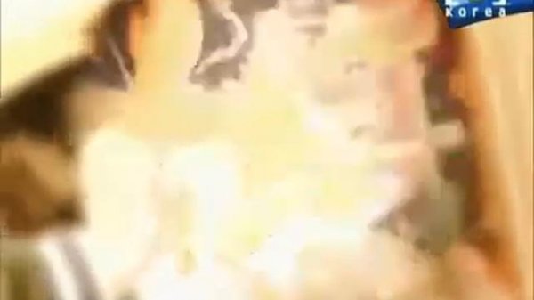 Young Turks Club (영턱스클럽) - Affection (정)