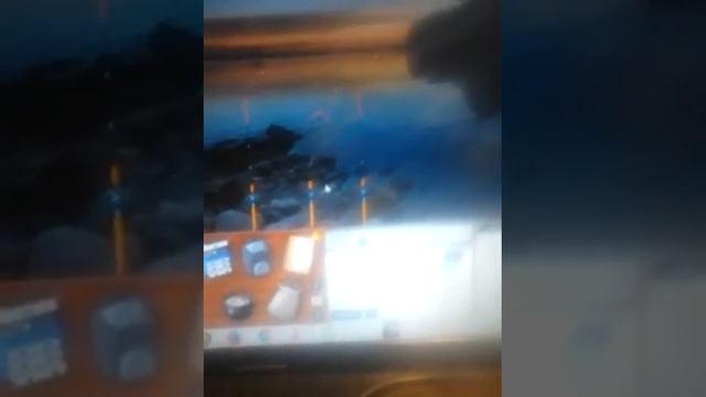 Русская Рыбалка 2 лабынкыр смотреть онлайн