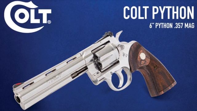 SELL YOUR OLD PYTHONS NOW!!!! смотреть онлайн