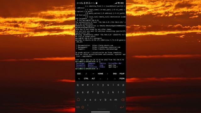 ? Cómo Descargar e Instalar TERMUX en ANDROID | Cómo Usar Termux ? смотреть онлайн