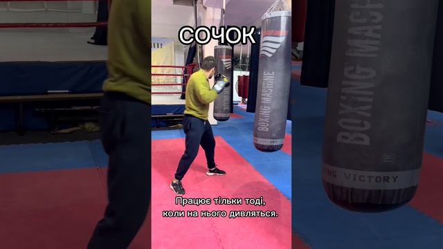 ПЯТЬ ВИДОВ БОКСЕРОВ. Спорт. Бокс. Какие бывают боксёры смотреть онлайн