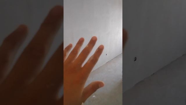 ремонт своими руками недорого смотреть онлайн