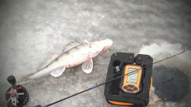 Рыбалка в Камском Устье 21,22.12.2019 смотреть онлайн