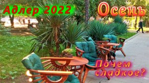 Адлер 2022. По Ульянова на Ленина. Посмотрим цены в кондитерских
