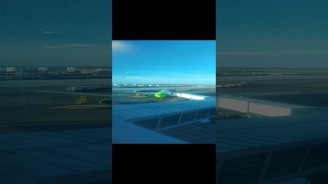 Аэропорт Домодедово. Летное поле смотреть онлайн