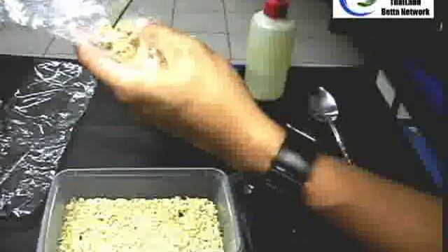 Micro worm หนอนจิ๋ว смотреть онлайн