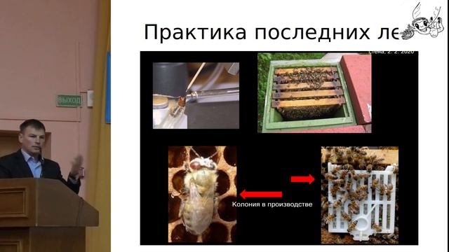 Разведение пчёл, устойчивых к клещу Varroa destructor. Доклад Марата Никитенко/ @aratnikitenko9645 смотреть онлайн