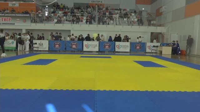 Татами 1 Региональные соревнования по Киокусинкай Юный тигр смотреть онлайн