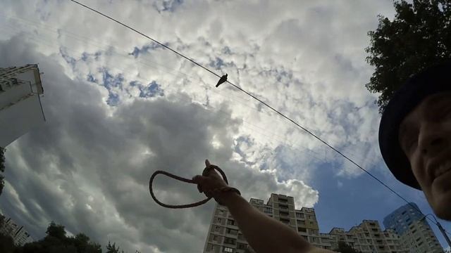 Спаниель СЁМА гоняет ВОРОН и разбойничает. Разговариваем с воронами