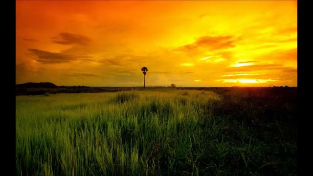 Melissa Nkonda - Africa (TheTronicsound Edit) смотреть онлайн