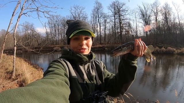 РЫБАЛКА на РЕКЕ. ФИДЕР Vs СПИННИНГ. Трохи бярэ  #136