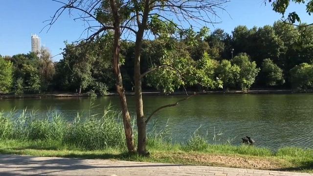 Дыхание Осени. Озеро Карасун Краснодар смотреть онлайн