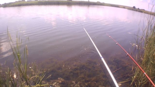 Рыба больше не клюет ! Аномальная жара смотреть онлайн