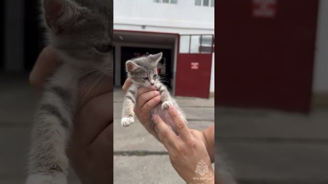 ГУ  МЧС России по Республике Дагестан