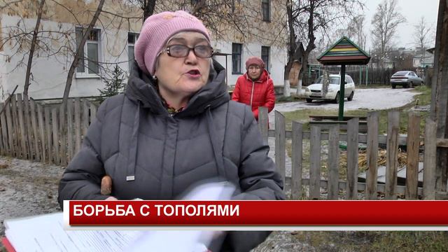 БОРЬБА С ТОПОЛЯМИ