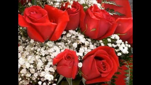 I love you because '''Gewoon leuke liedjes"' смотреть онлайн