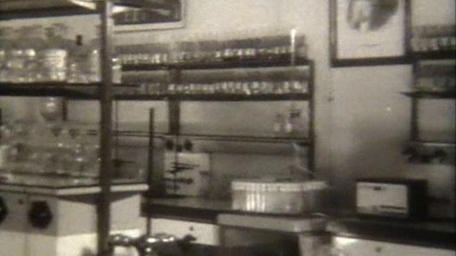 ЭЛЕКТРОЛИТЫ И НЕЭЛЕКТРОЛИТЫ.ХИМИЯ.ХРОНИКА смотреть онлайн