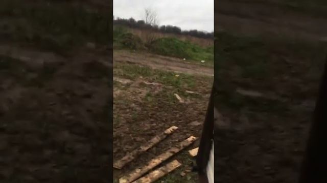 Termal 10 Vent Video