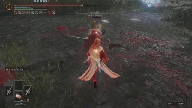 Elden Ring: Sword of St. Trina | Level 125 | PvP Duels смотреть онлайн
