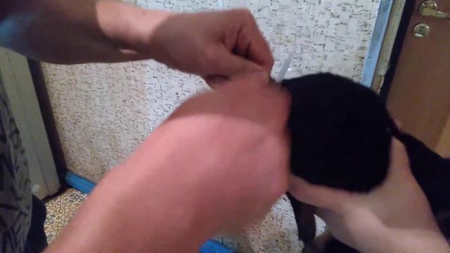 Купирование хвостов в домашних условиях самостоятельно смотреть онлайн