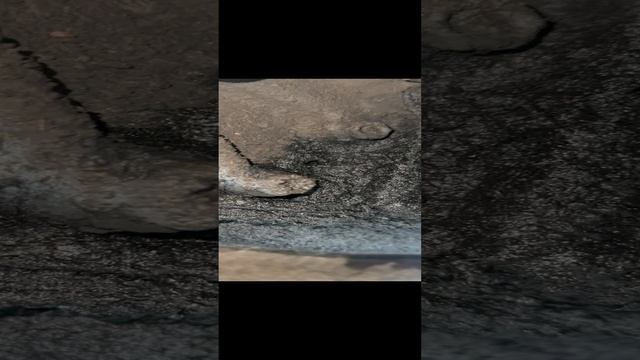 Откуда уходит масло из двигателя Ниссан атлас смотреть онлайн