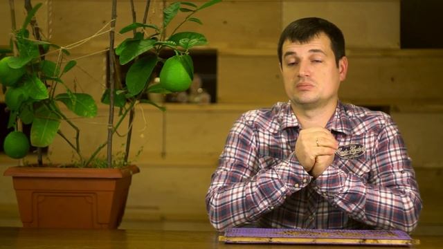Двухматочное содержание пчёл поздний расплод плюсы изоляции маток и виды изоляторов смотреть онлайн