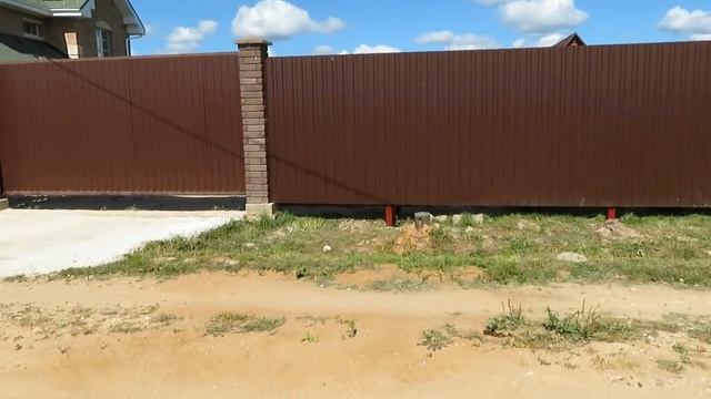 Позитивный день движения лаек смотреть онлайн