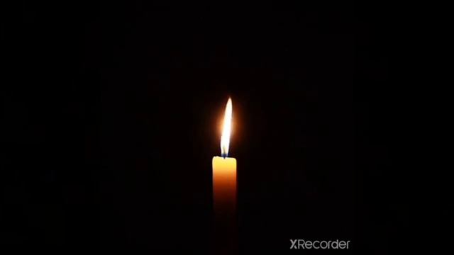 реакция на шкаф. смотреть онлайн