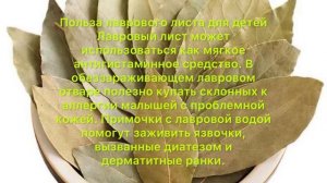 Вся тайна ЛАВРА раскрыта, ХОЧЕШЬ узнать?! лавровый лист польза и вред. #лавровыйлист
