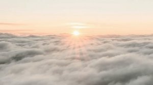 Доверяйте Высшим Силам