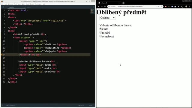 41. Tvorba webových stránek (HTML a CSS) - Formuláře (roletka, select, option, radio) смотреть онлайн