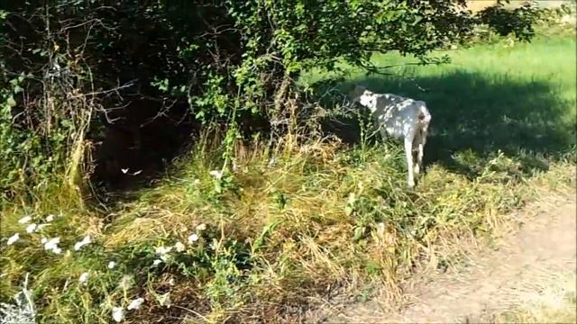 Как найти девушку для жизни в деревне. смотреть онлайн