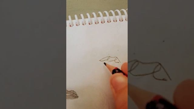 пример как нарисовать губы