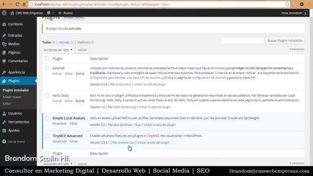 24. Instalar Plugin para en Editor de Texto en WordPress - Plugin TinyMCE смотреть онлайн