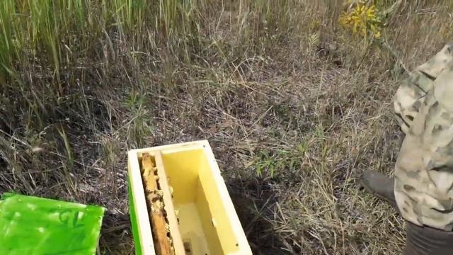 Августовские сборные отводки смотреть онлайн