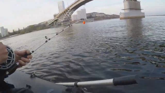 СУДАК СПЛАВОМ НА СИЛИКОН. ОСЕНЬ 2023.