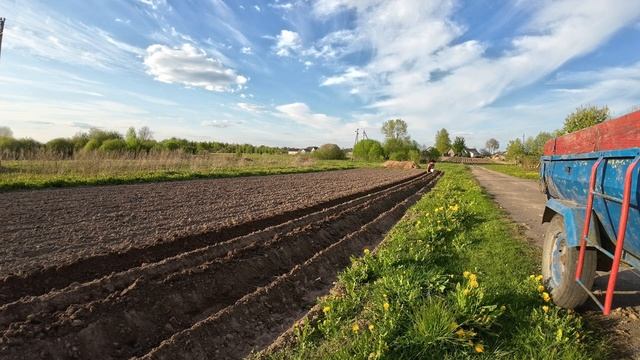 ❗Сажаем картошку под плуг мотоблока❗ смотреть онлайн