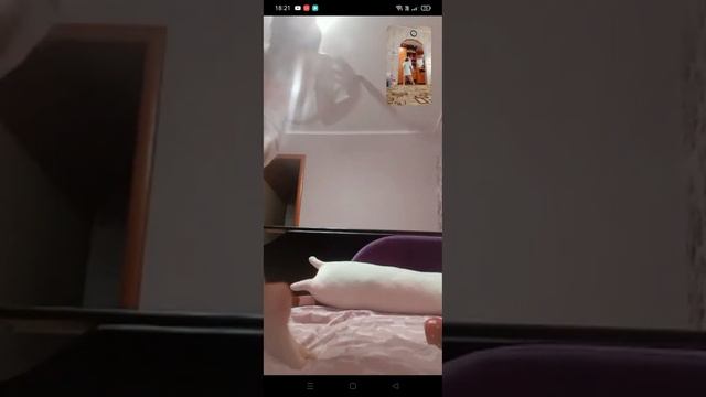 я и Вика стала доброй кошкой а потом я почему-то стала злая и Вика смотреть онлайн