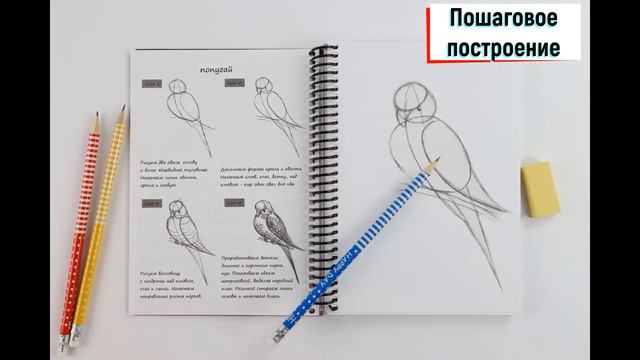 Блокнот PROF-PRESS рисуй легко пошаговые уроки 64-3636 64-3639 64-3638 смотреть онлайн