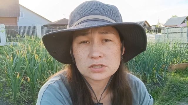 Подкормка лука, что делаю в июле с луком, какие сорта выращиваю. смотреть онлайн