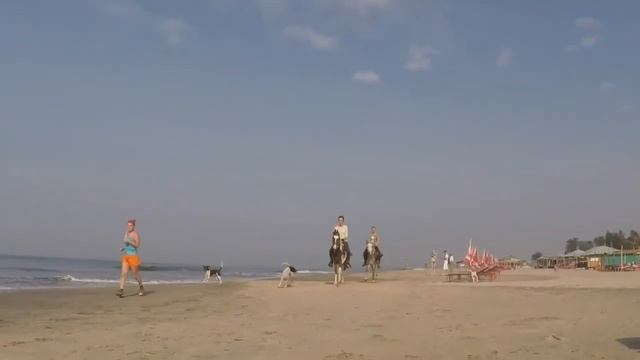 "Душа лошади", Гоа, Индия (январь 2016) смотреть онлайн