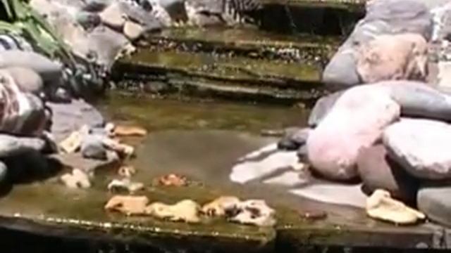 Construction Decorative Ponds(small) водоем из пластиковой чаши