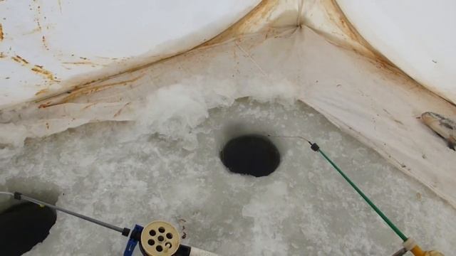 Рыбалка Зима 2018. 28.01.18 Чаусовский пруд Белгородской области. смотреть онлайн