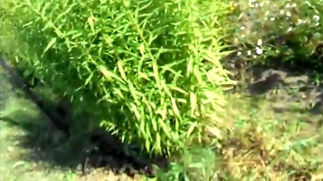 Строительные Сюжеты