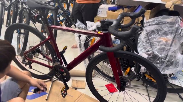 JAVA SILURO 6 2024 GIÁ 14.500.000 смотреть онлайн