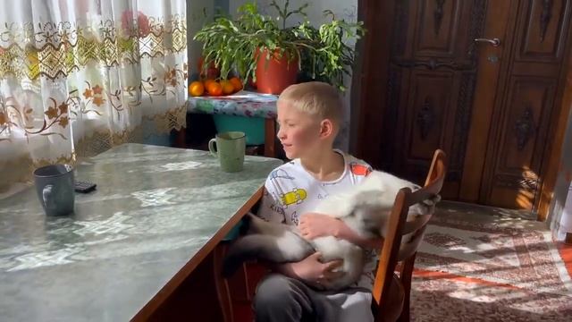 ТИША и ДАНЯ   Что с НАМИ    Где мы БЫЛИ   Почему НЕ снимали