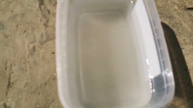 Голубь вернулся через 2 недели. The pigeon returned 2 weeks later смотреть онлайн